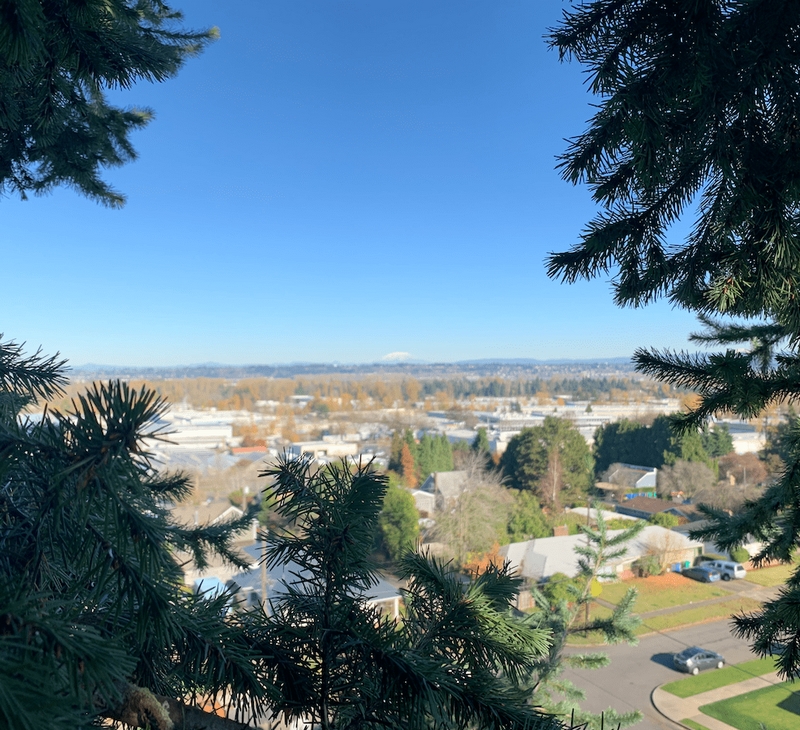 what it is like to work with oregon tree care