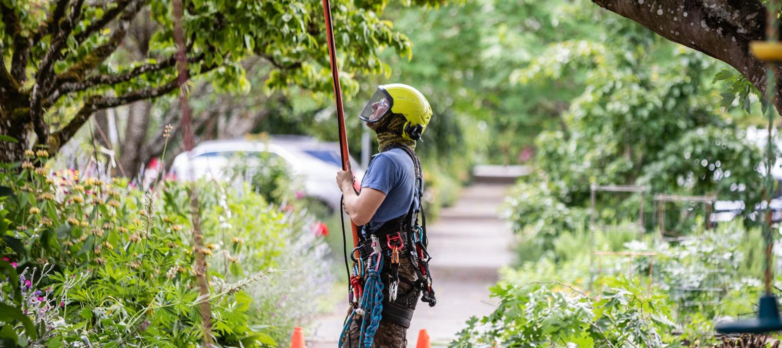 Oregon Tree Care arborist with pole saw preparing a job site
