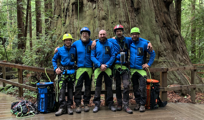 oregon tree care team