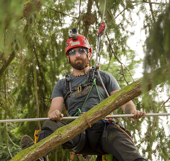 gladstone tree cabling and bracing oregon tree care