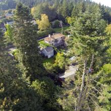 Certified arborist working in a tall tree near a Portland-area home